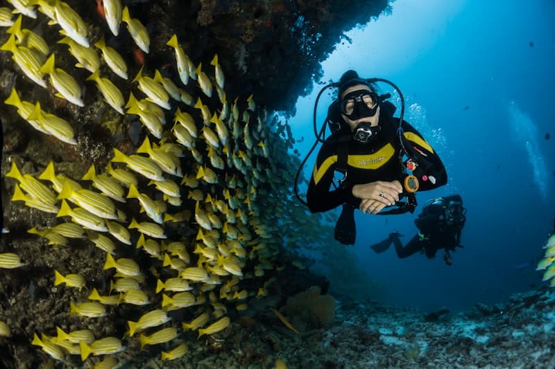 Fisheries & aquaculture